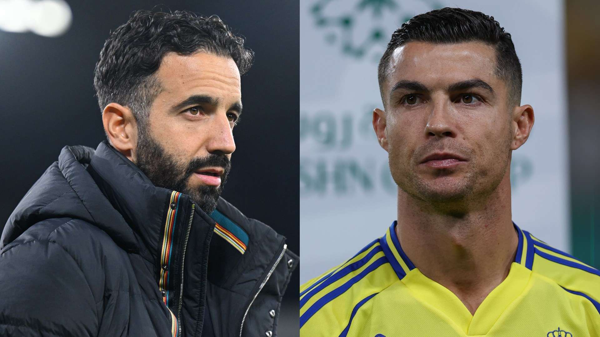 团队成员能 团队成员能